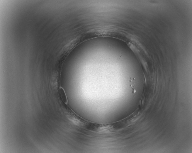 X0000063450505200602031811