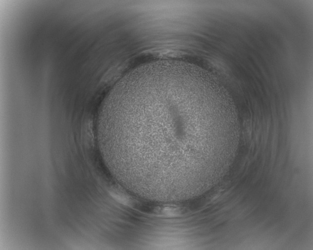 X0000063450506200602031811