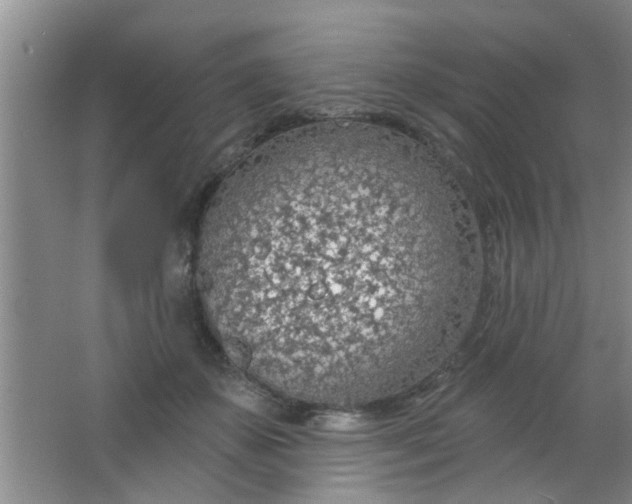 X0000063450507200602031811