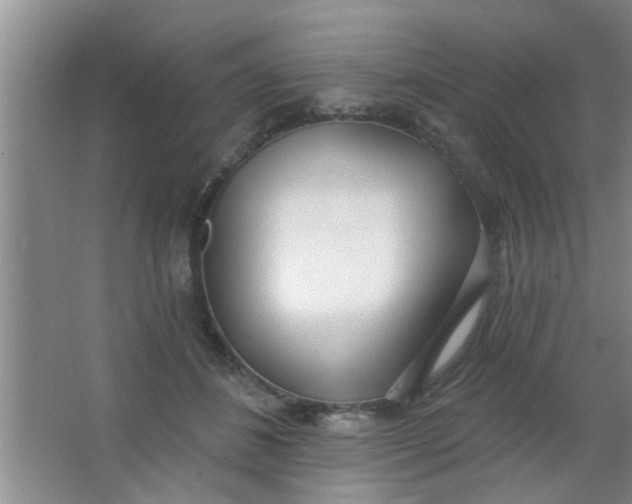 X0000063450508200602031811