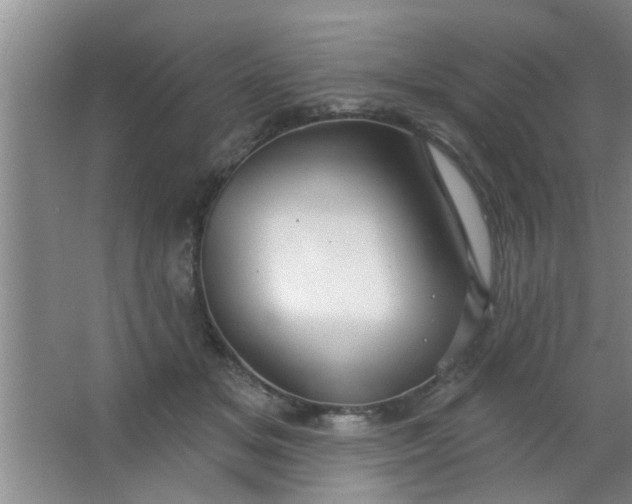 X0000063450509200602031811