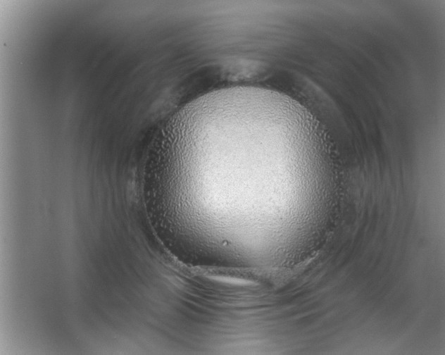 X0000063450510200602031811