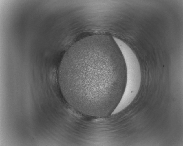 X0000063450511200602031811