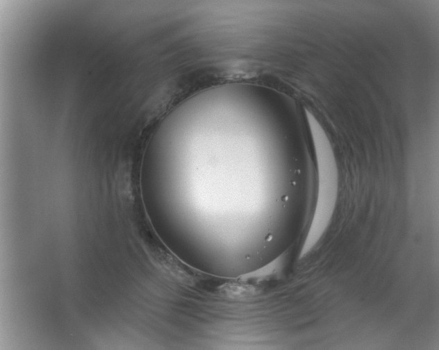 X0000063450512200602031811