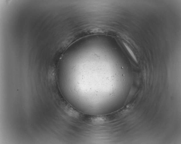 X0000063450513200602031811