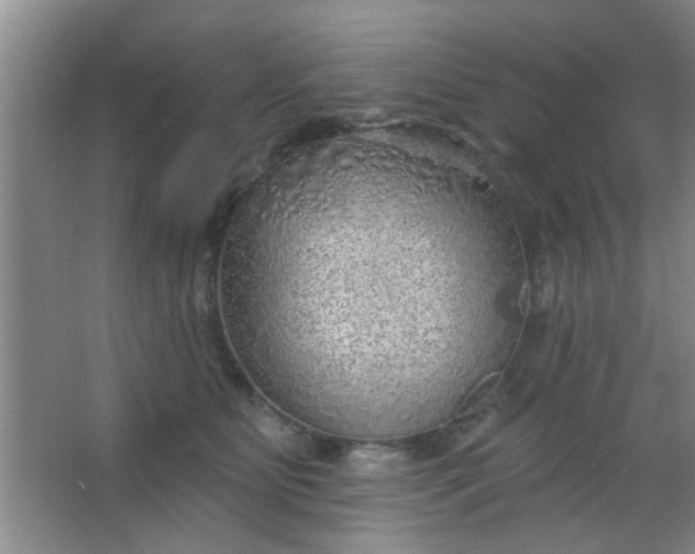 X0000063450515200602031811