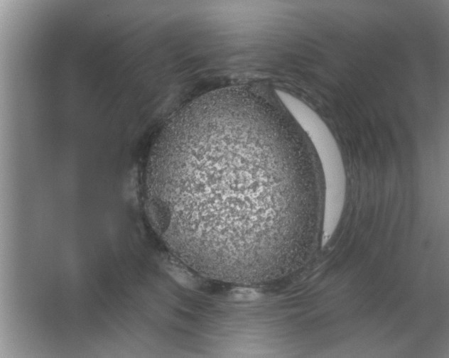 X0000063450519200602031811