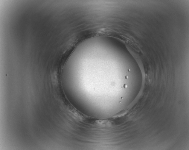 X0000063450520200602031811