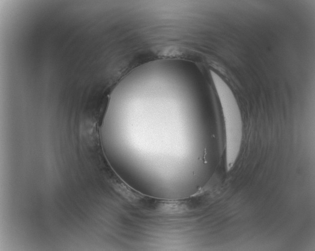 X0000063450521200602031811