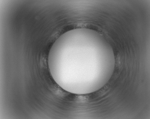 X0000063450522200602031811