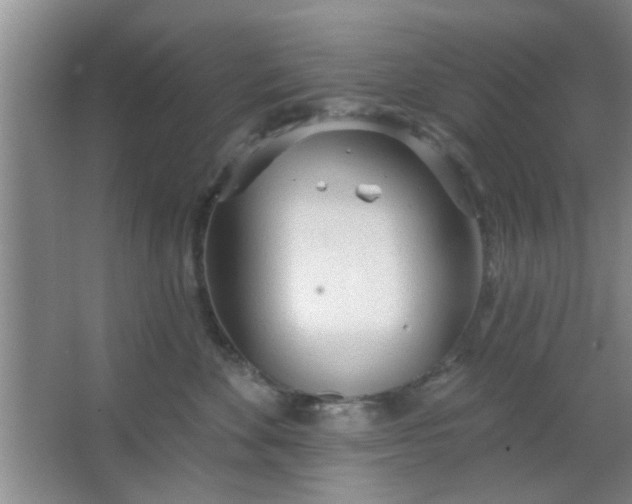 X0000063450524200602031811