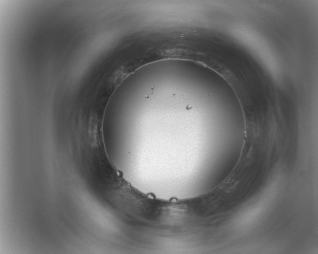 X0000063450525200602031811