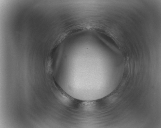 X0000063450526200602031811