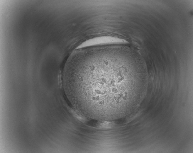 X0000063450527200602031811