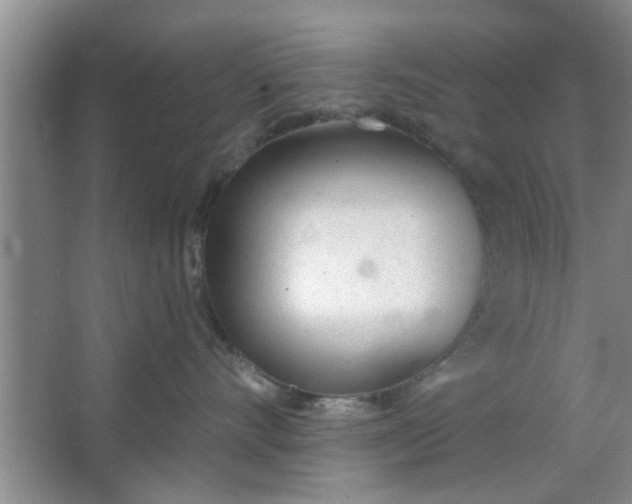 X0000063450528200602031811