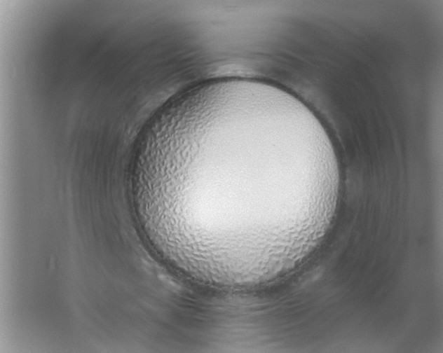 X0000063450529200602031810