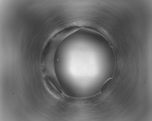 X0000063450530200602031810