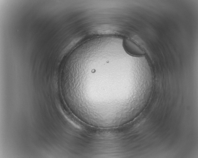 X0000063450533200602031810