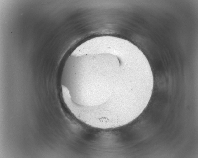 X0000063450534200602031810