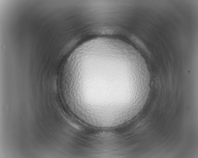 X0000063450537200602031810