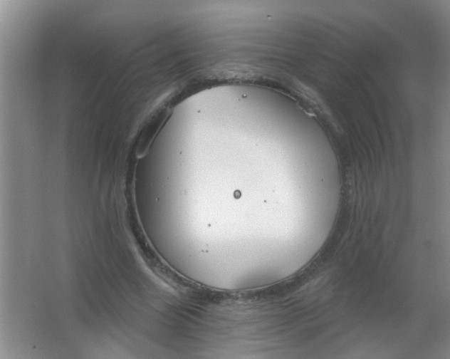 X0000063450538200602031810