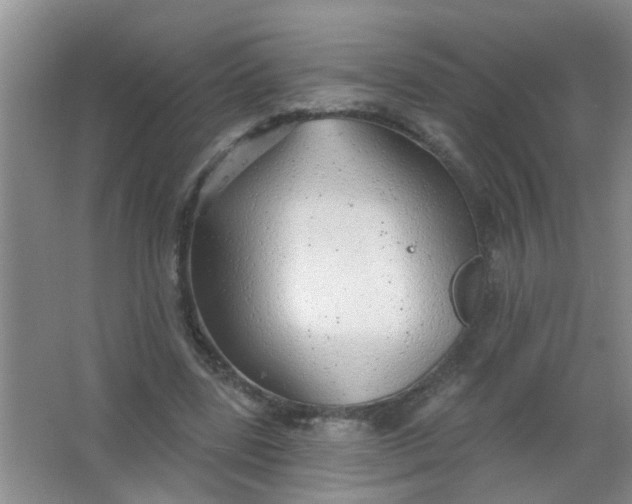 X0000063450539200602031810