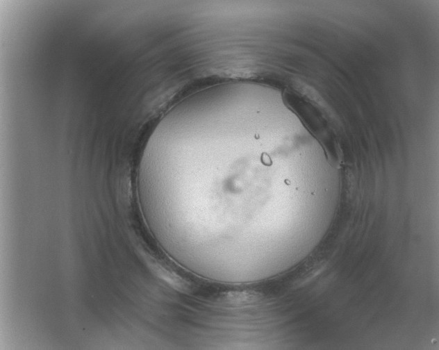 X0000063450541200602031810