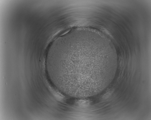 X0000063450542200602031810