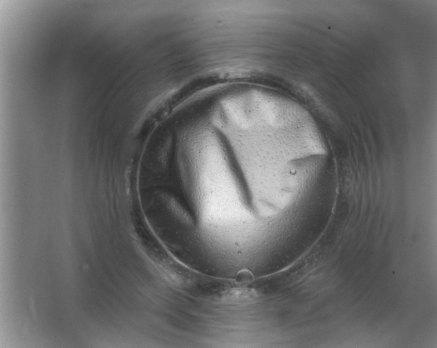 X0000063450543200602031810