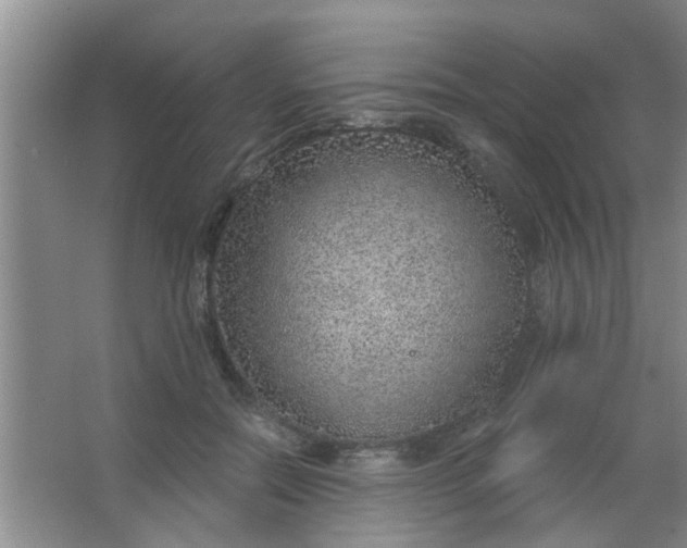 X0000063450554200602031811