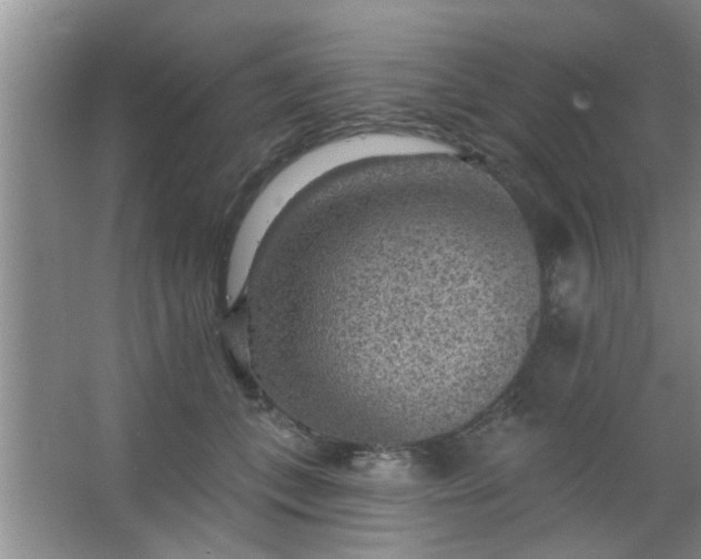 X0000063450559200602031811