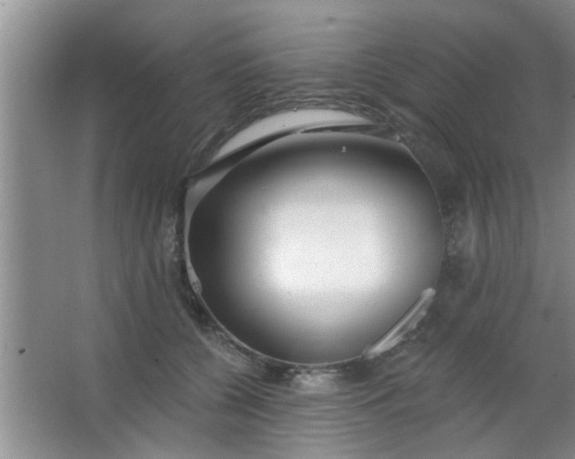 X0000063450560200602031811