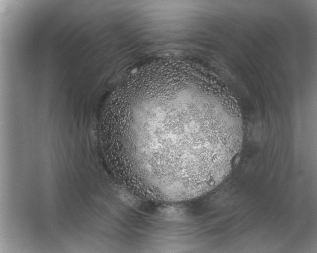 X0000063450561200602031811