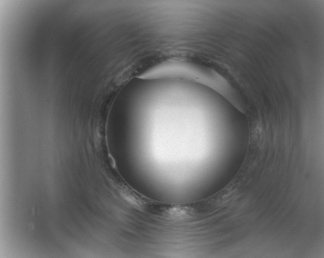 X0000063450566200602031811