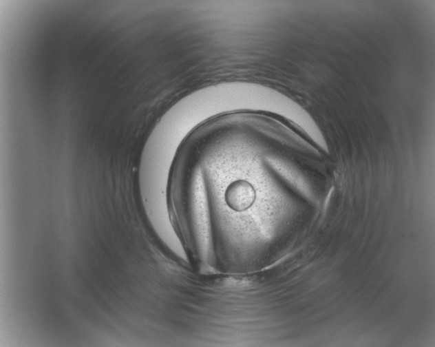 X0000063450570200602031811