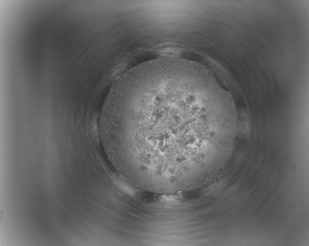 X0000063450573200602031811