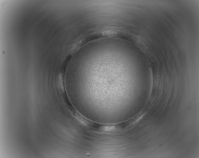 X0000063450575200602031811