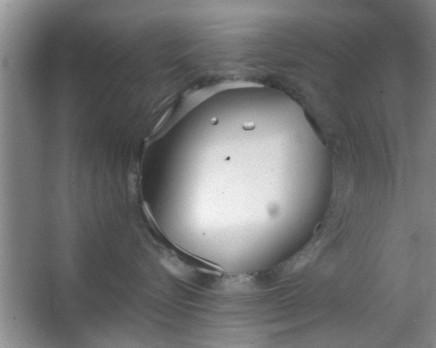 X0000063450576200602031811