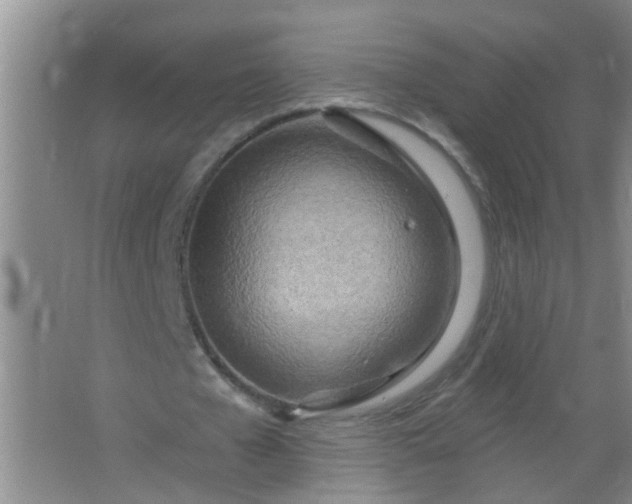 X0000063450577200602031810