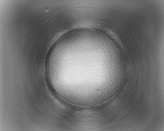 X0000063450578200602031810