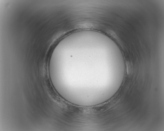 X0000063450579200602031810