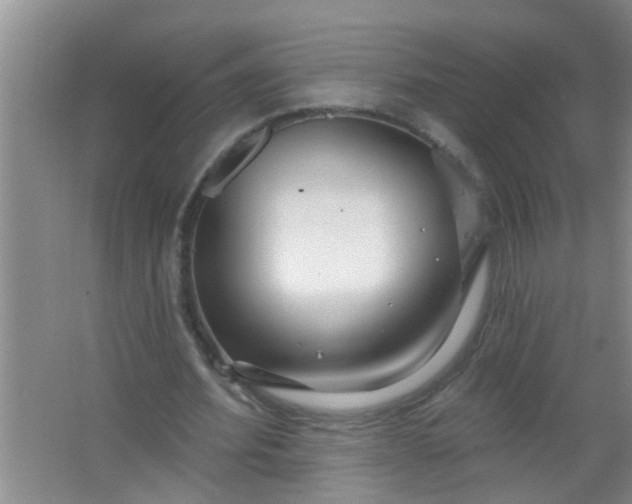 X0000063450580200602031810