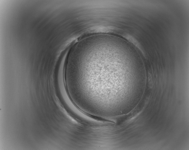 X0000063450581200602031810