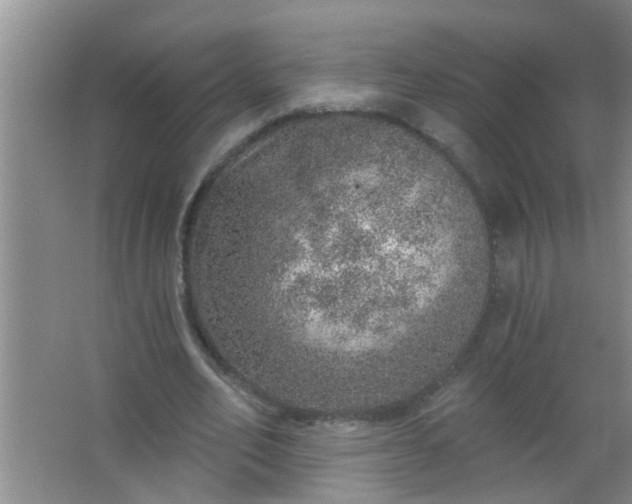 X0000063450582200602031810