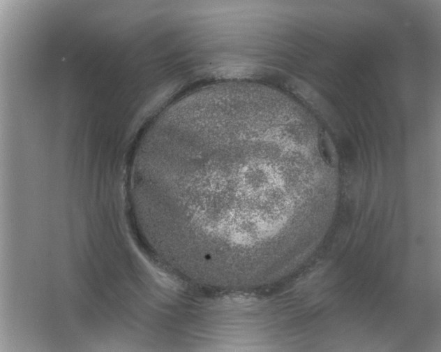 X0000063450586200602031810