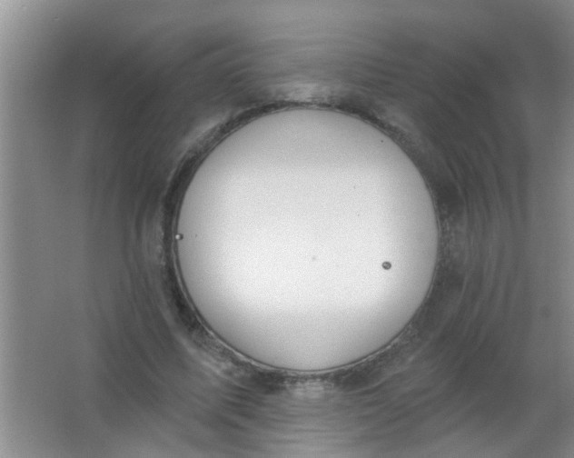 X0000063450587200602031810