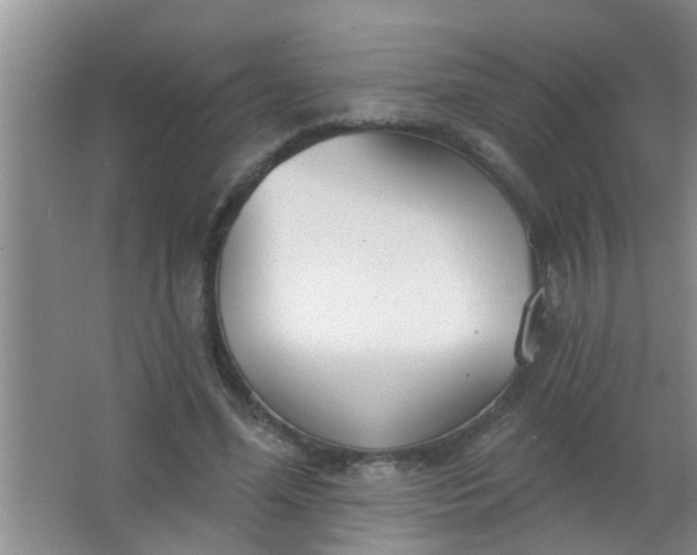 X0000063450588200602031810