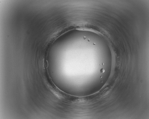 X0000063450589200602031810