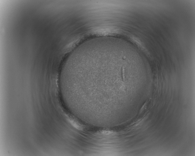 X0000063450590200602031810