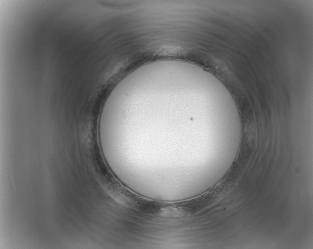 X0000063450591200602031810